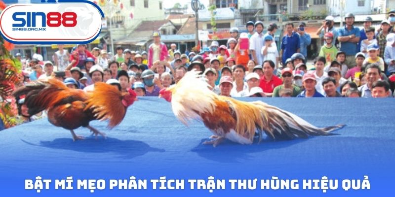 Bật mí mẹo phân tích trận thư hùng hiệu quả