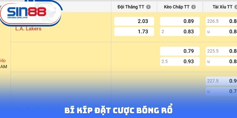 Bí kíp đặt cược bóng rổ