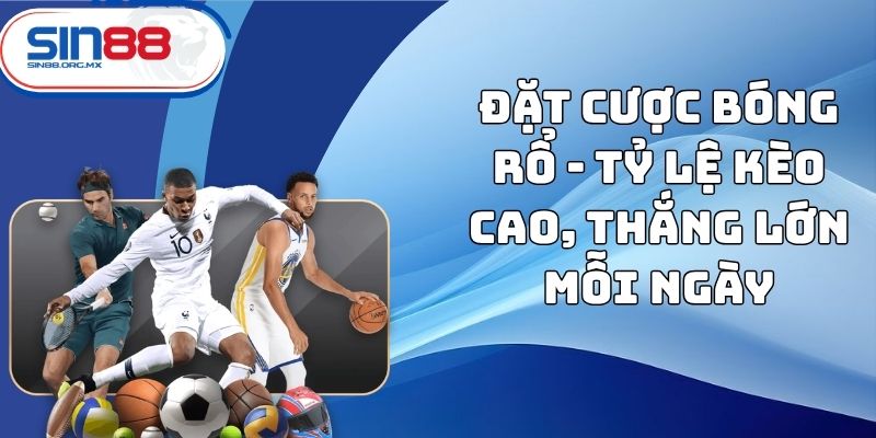 đặt cược bóng rổ