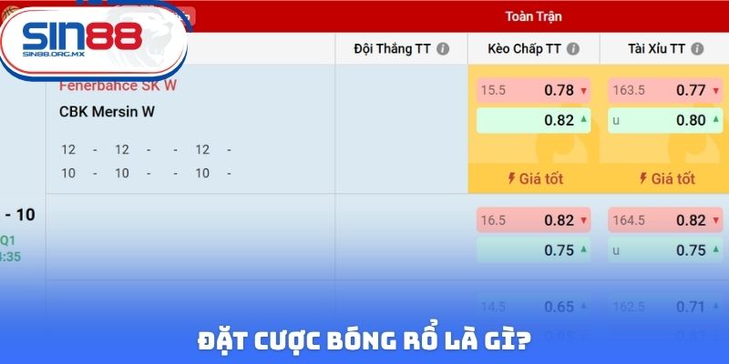 Đặt cược bóng rổ là gì?