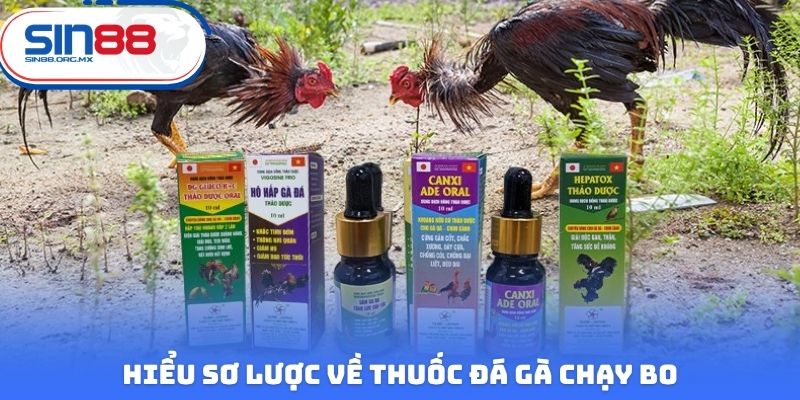 Hiểu sơ lược về thuốc đá gà chạy bo