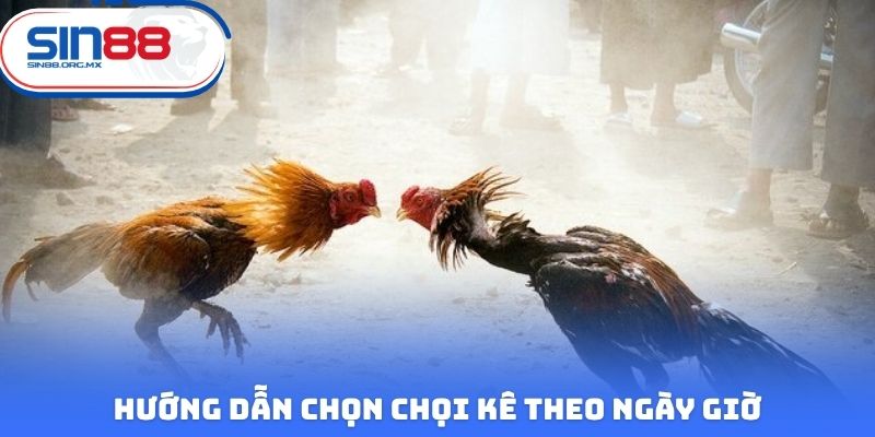 Hướng dẫn chọn chọi kê theo ngày giờ