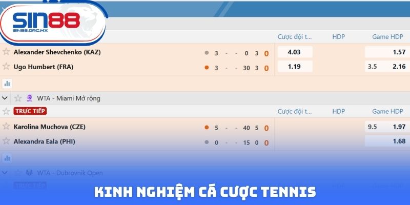 Kinh nghiệm cá cược tennis