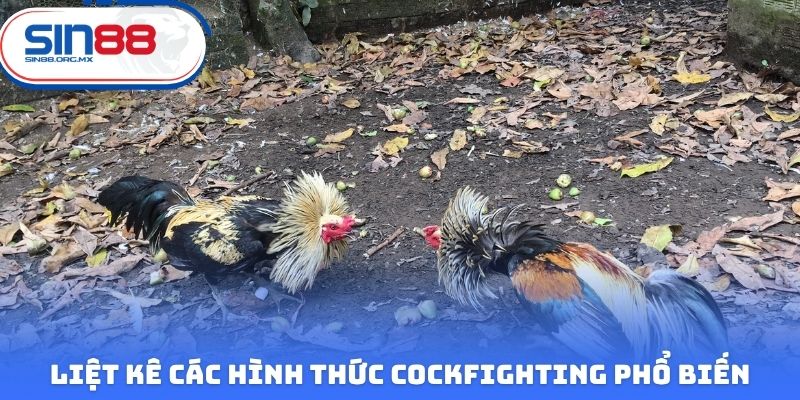 Liệt kê các hình thức cockfighting phổ biến