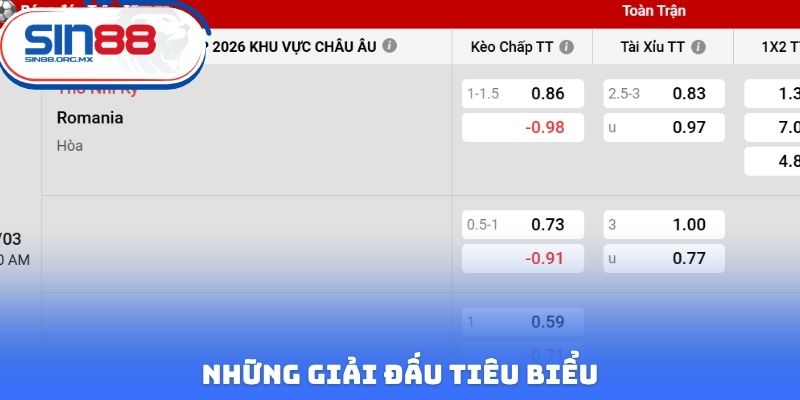 Những giải đấu tiêu biểu