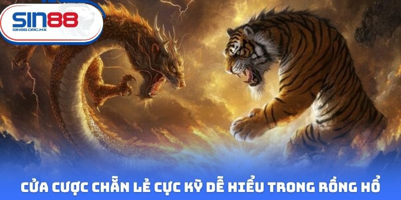 Cửa cược chẵn lẻ cực kỳ dễ hiểu trong Rồng Hổ online