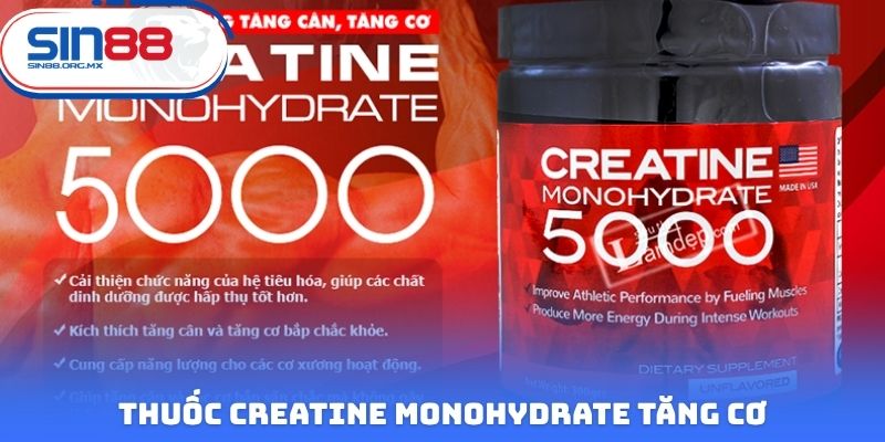 Thuốc Creatine Monohydrate tăng cơ