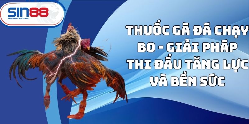 Thuốc gà đá chạy bo