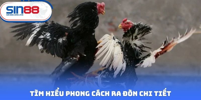 Tìm hiểu phong cách ra đòn chi tiết
